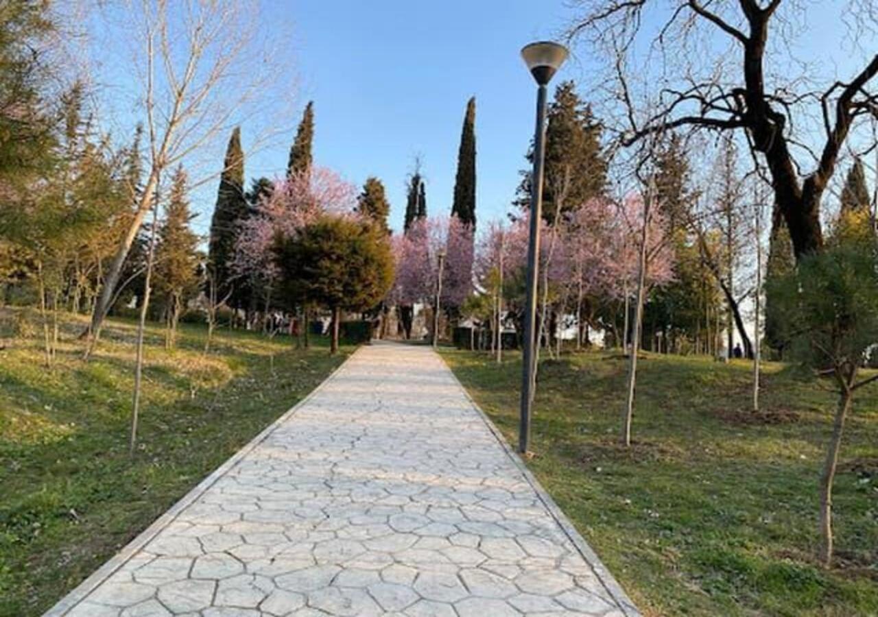 Cozy Flat Near Air Albania Stadium 1 地拉那 外观 照片